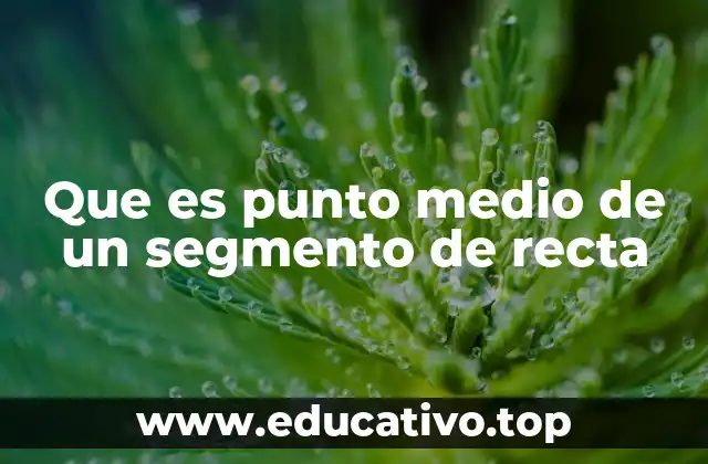 Que es punto medio de un segmento de recta