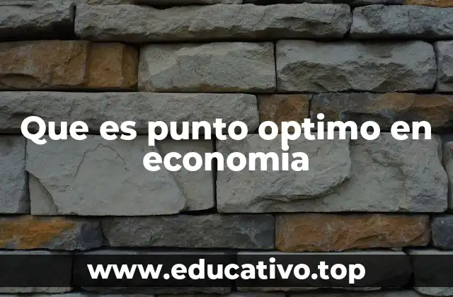 Que es punto optimo en economia