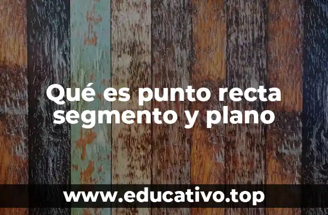 Los cimientos de la geometría: punto, recta, segmento y plano