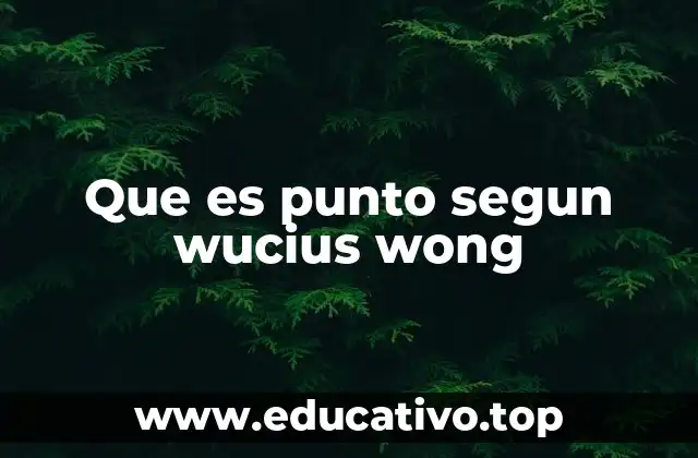 Que es punto segun wucius wong