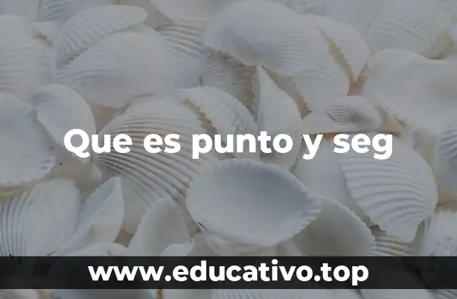 Que es punto y seg