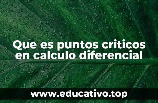 Que es puntos criticos en calculo diferencial