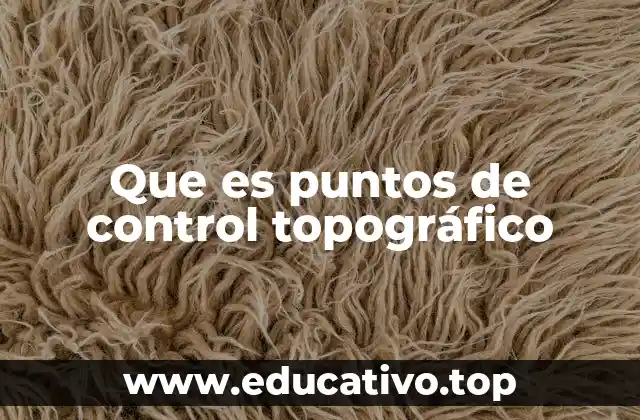 Que es puntos de control topográfico