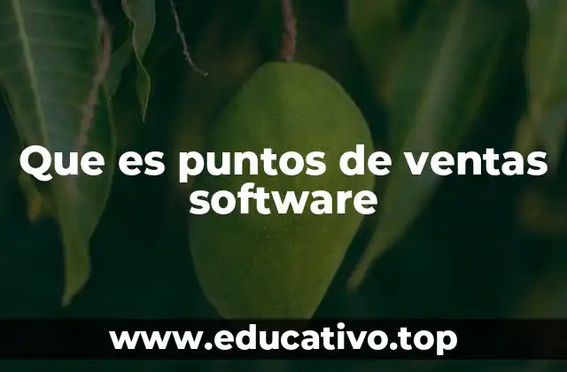 Que es puntos de ventas software