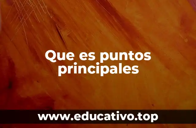 Que es puntos principales