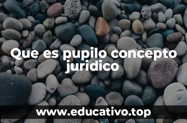 La tutela legal y el rol del tutor en la protección del pupilo