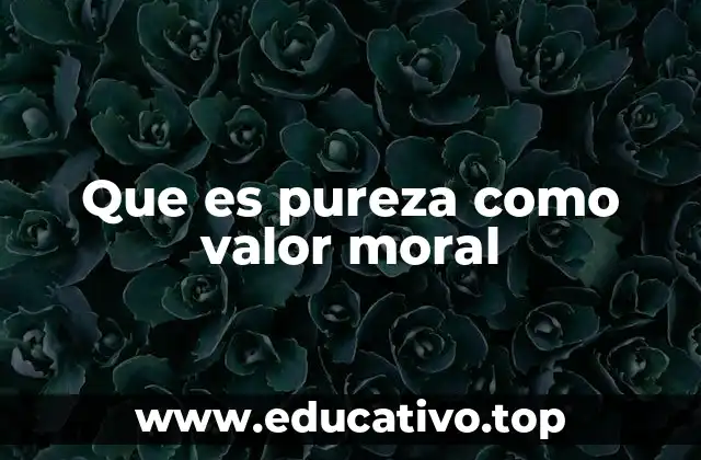 Que es pureza como valor moral