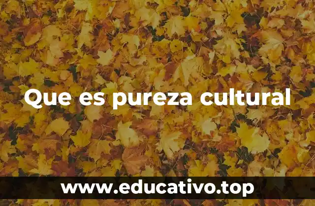 Que es pureza cultural