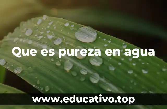 El agua pura y su importancia en la salud pública