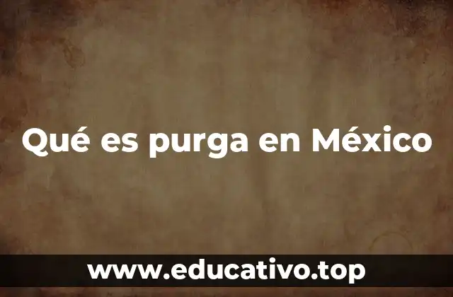 Qué es purga en México