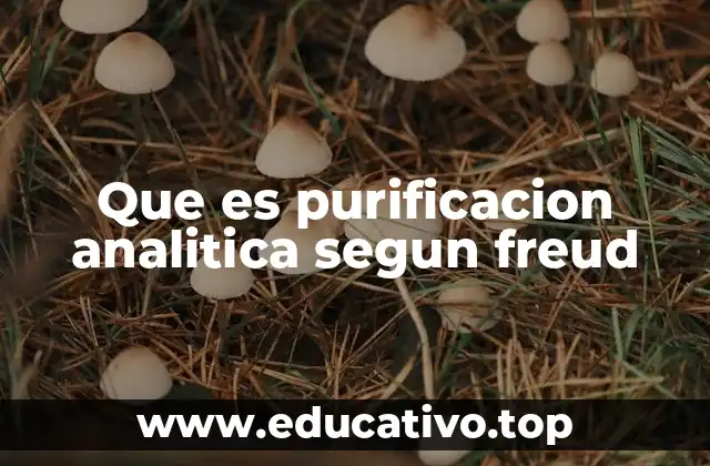 Que es purificacion analitica segun freud