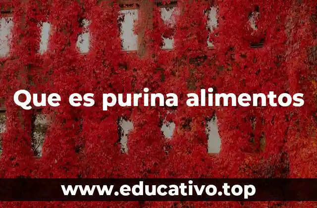 Que es purina alimentos