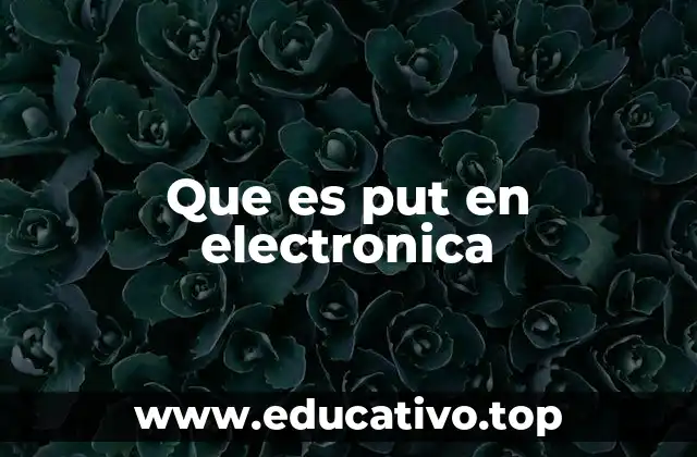 Que es put en electronica