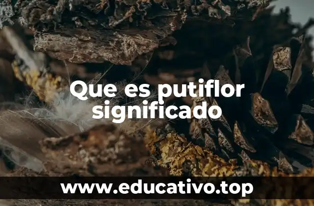 Que es putiflor significado