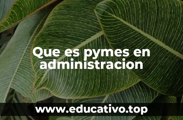 Que es pymes en administracion