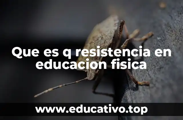 Que es q resistencia en educacion fisica