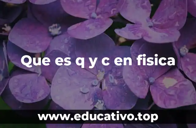 Que es q y c en fisica