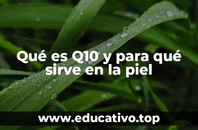 Qué es Q10 y para qué sirve en la piel