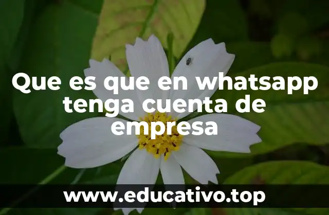 Que es que en whatsapp tenga cuenta de empresa