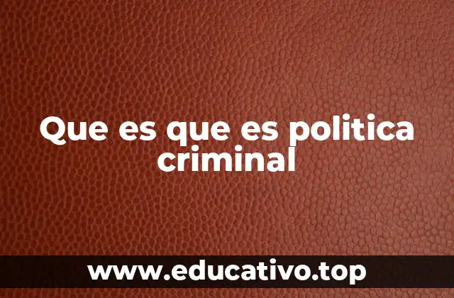 Que es que es politica criminal