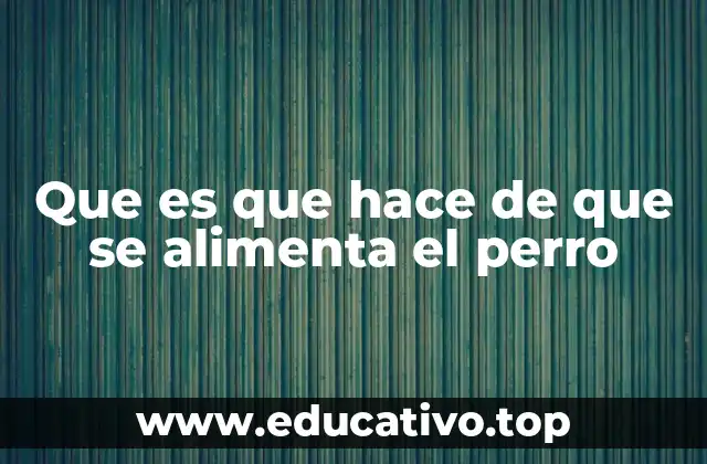 Que es que hace de que se alimenta el perro