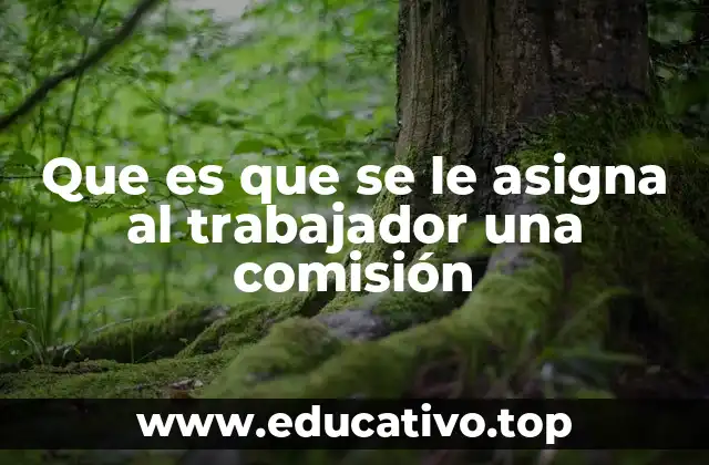 Que es que se le asigna al trabajador una comisión