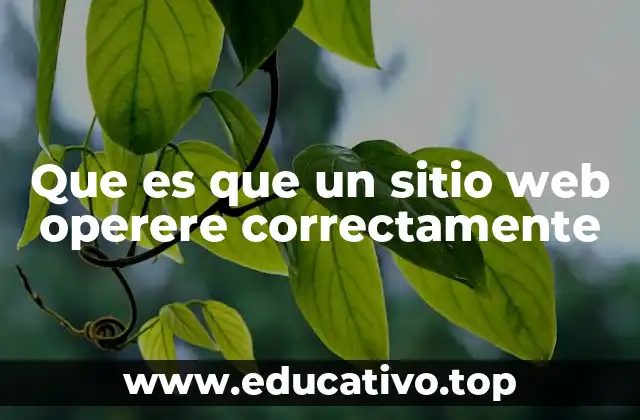 Que es que un sitio web operere correctamente