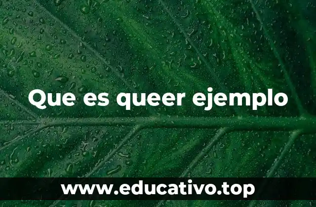 Que es queer ejemplo