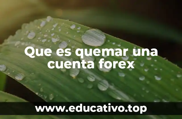 Que es quemar una cuenta forex