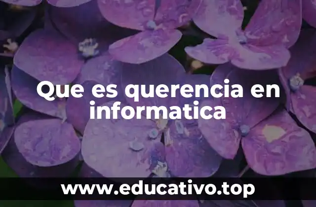 Que es querencia en informatica