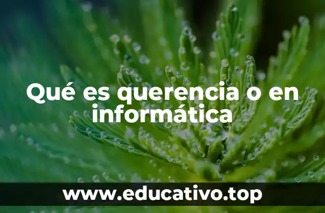 Qué es querencia o en informática