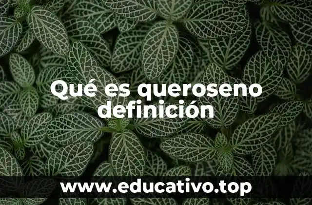 Qué es queroseno definición