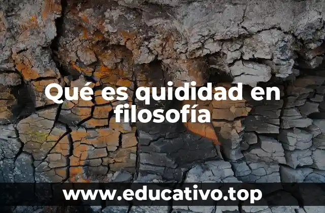 Qué es quididad en filosofía