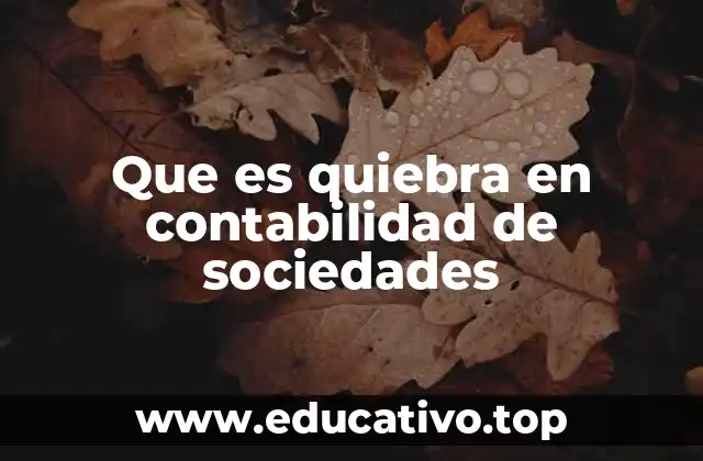 Que es quiebra en contabilidad de sociedades