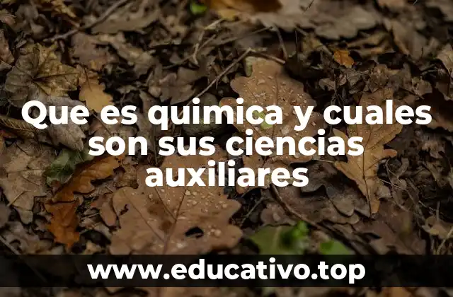 Que es quimica y cuales son sus ciencias auxiliares