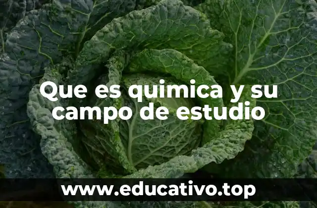 Que es quimica y su campo de estudio