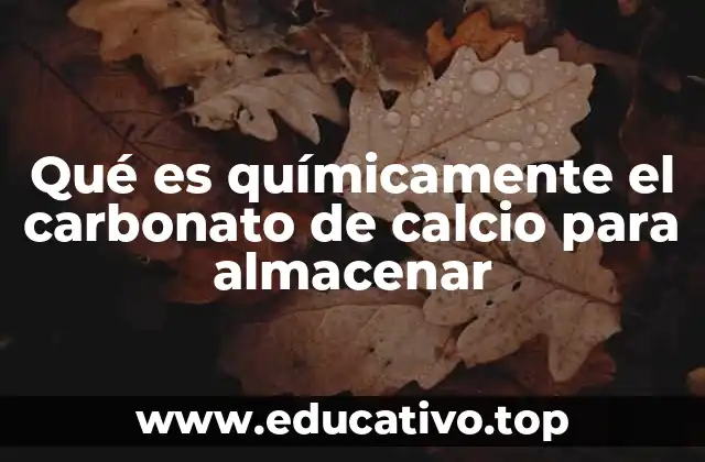Qué es químicamente el carbonato de calcio para almacenar