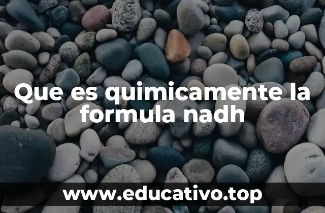 Que es quimicamente la formula nadh