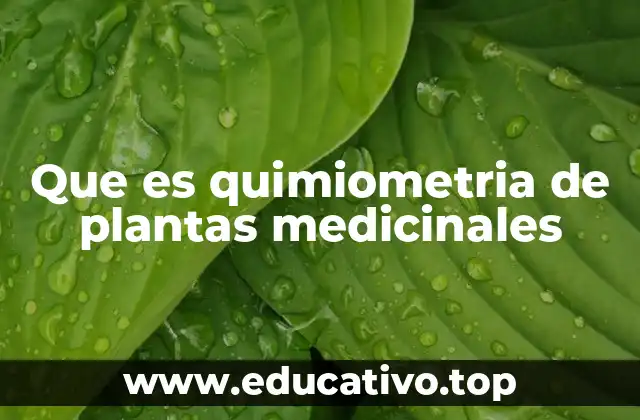 Que es quimiometria de plantas medicinales