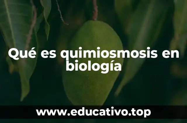 Qué es quimiosmosis en biología