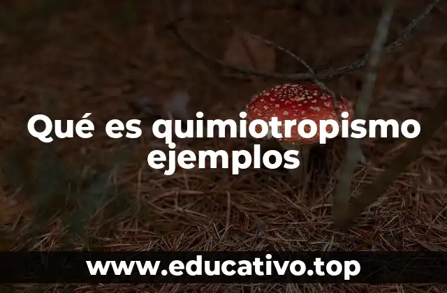 Qué es quimiotropismo ejemplos