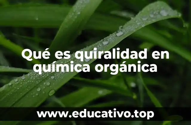 Qué es quiralidad en química orgánica