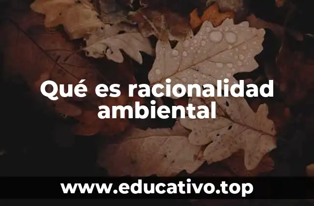 Qué es racionalidad ambiental