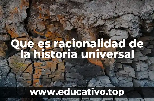 Que es racionalidad de la historia universal