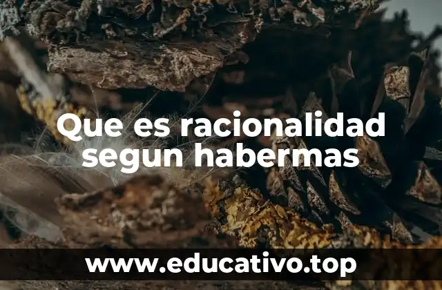Que es racionalidad segun habermas