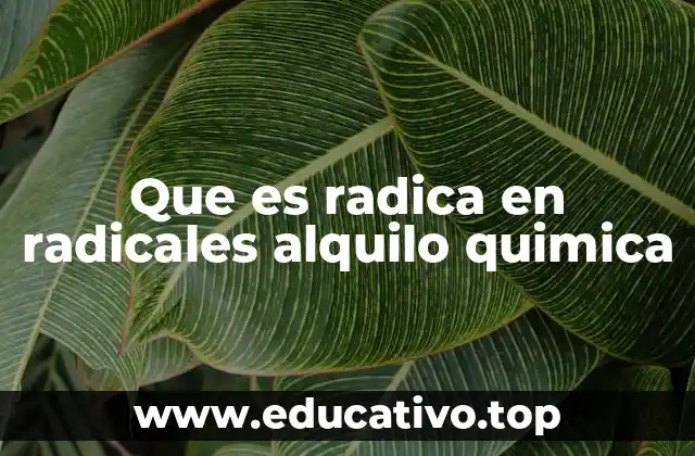 Que es radica en radicales alquilo quimica