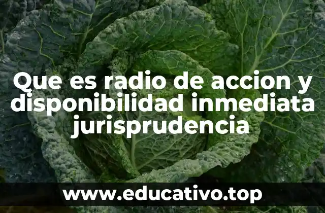 Que es radio de accion y disponibilidad inmediata jurisprudencia
