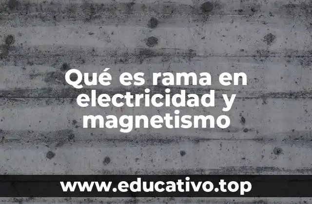 Qué es rama en electricidad y magnetismo