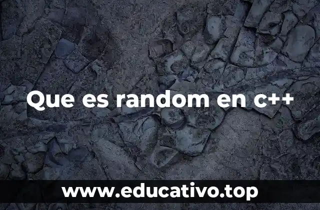 La importancia de la aleatoriedad en la programación