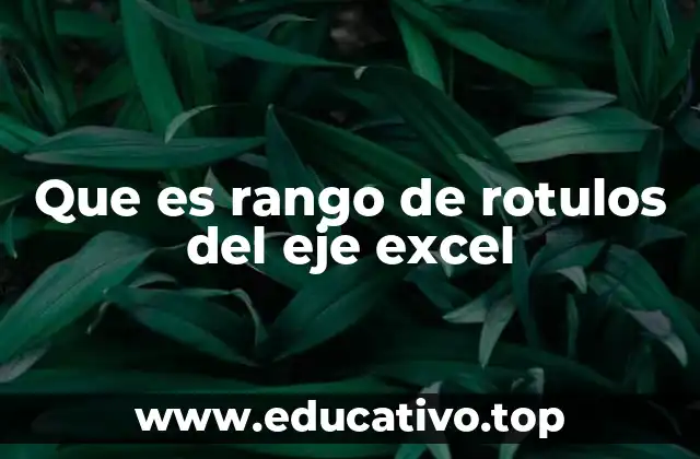 Que es rango de rotulos del eje excel